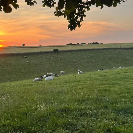 Lea's Country & Restaurant